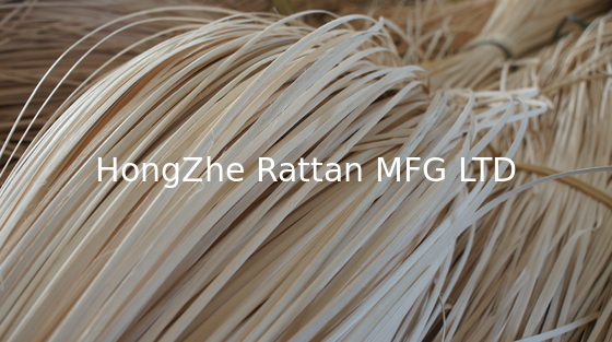 Rattan Cane Peel