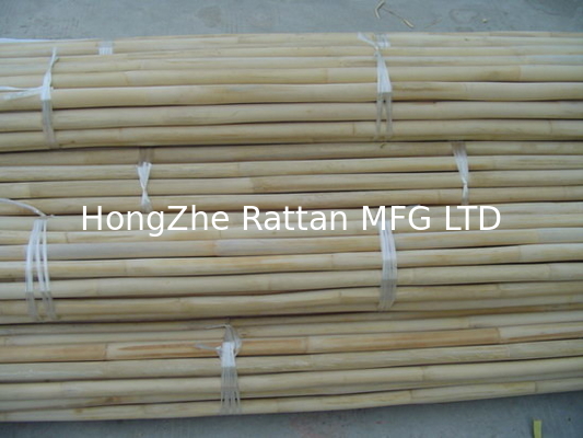 Polished Rattan Cane