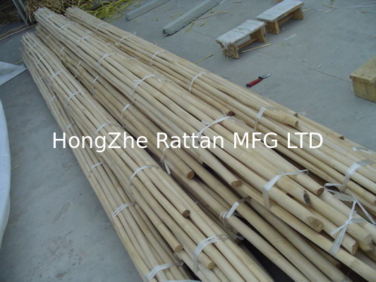 Polished Rattan Cane