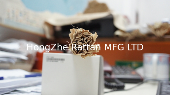 Bleached Flat-Oval Rattan Core